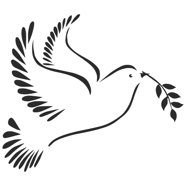 Alt Image